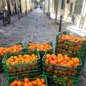 Una fila de caixes de taronges apilades, mostrant el seu color vibrant i frescor.